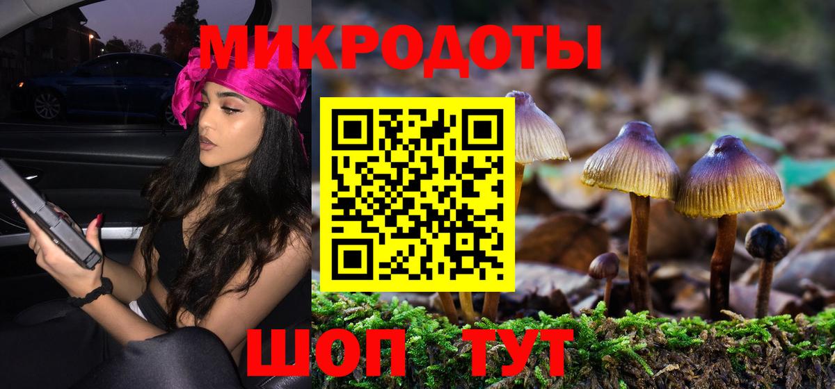 Галлюциногенные грибы Psilocybe Петрозаводск