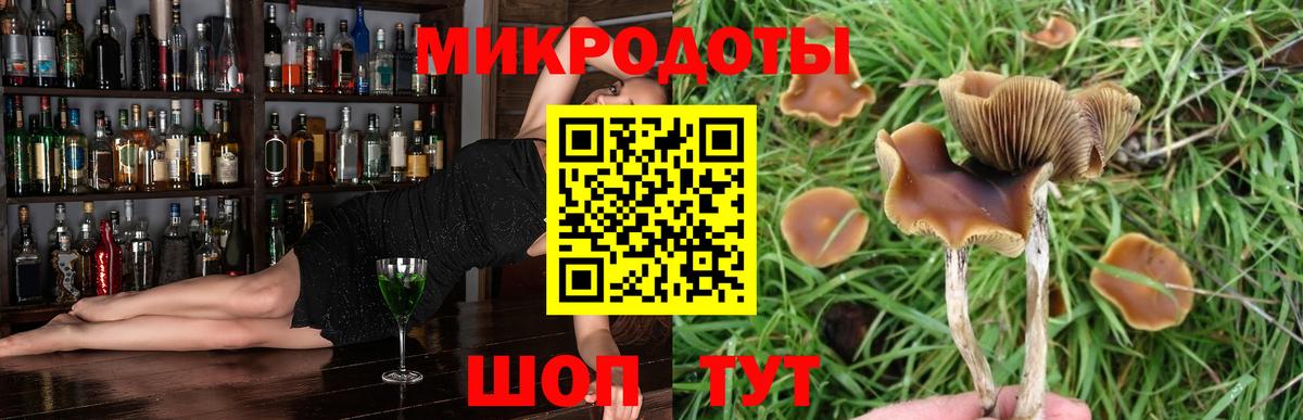 Петрозаводск  Псилоцибиновые грибы Cubensis  Вход с VPN 